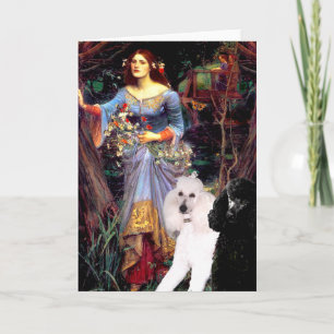 Ophelia (Skogen)-2 Standard Pudel Kort