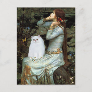 Ophelia - vit persisk kitten vykort