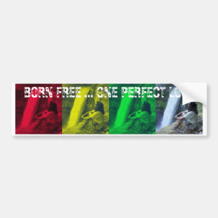 OPL Rasta färgar bildekalet Bildekal