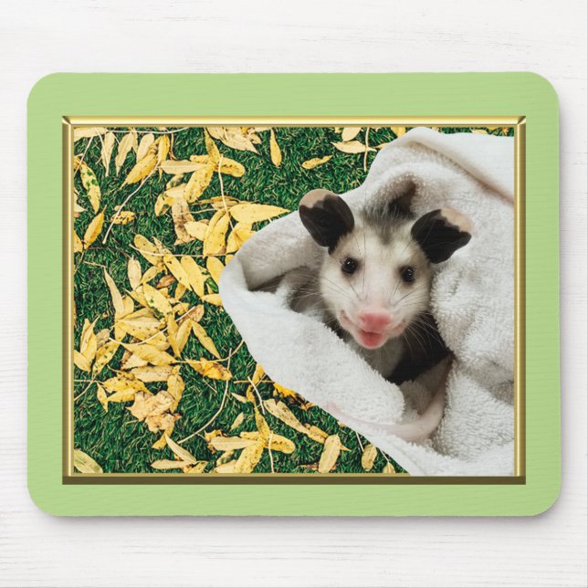Opossum Baby Possum Musmatta (Framsidan)