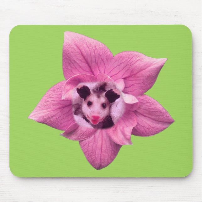 Opossum Baby Possum Musmatta (Framsidan)