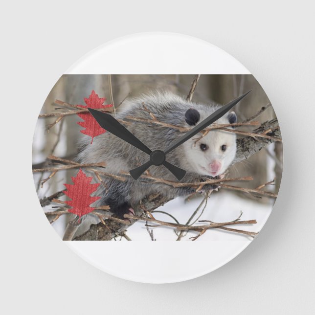 Opossum Clock Rund Klocka (Framsida)