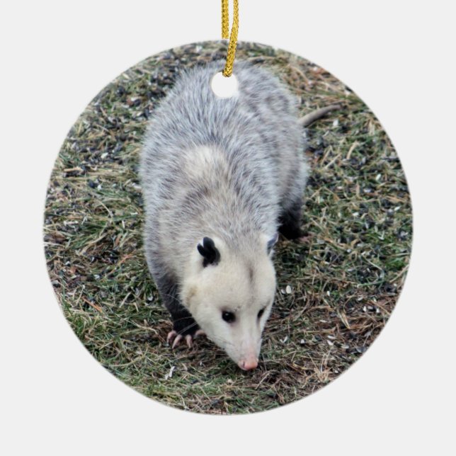 Opossum-foto Julgransprydnad Keramik (Framsidan)