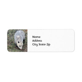 Opossum-foto Returadress Etikett