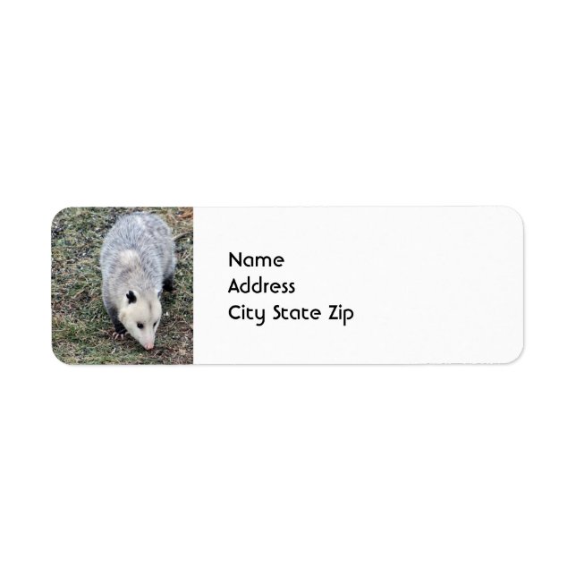 Opossum-foto Returadress Etikett (Framsidan)