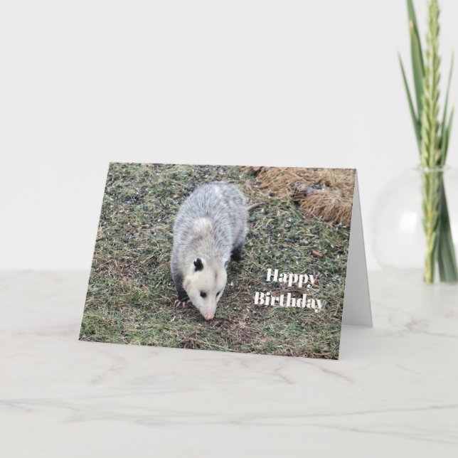 Opossum fotofödelsedag kort (Framsida)