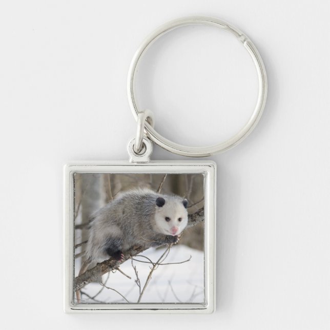 Opossum Kärlek Fyrkantig Silverfärgad Nyckelring (Framsidan)