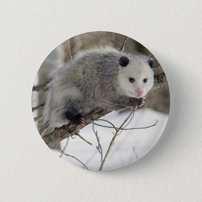 Opossum Kärlek Knapp (Framsida)