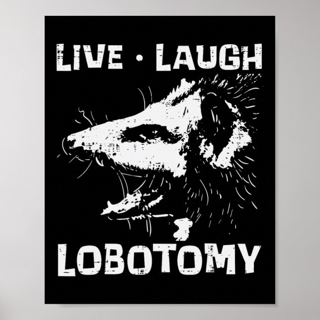 Opossum Live Kärlek Lobotomy Possum Street Sopor C Poster (Framsidan)