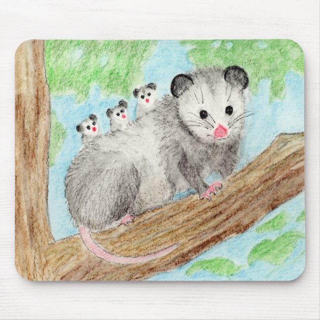 Opossum Mamma Musmatta (Framsidan)