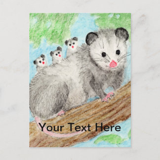 Opossum Mamma vykort