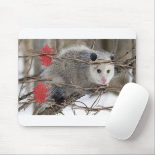 Opossum Natur Vit Mouse Pad! Musmatta