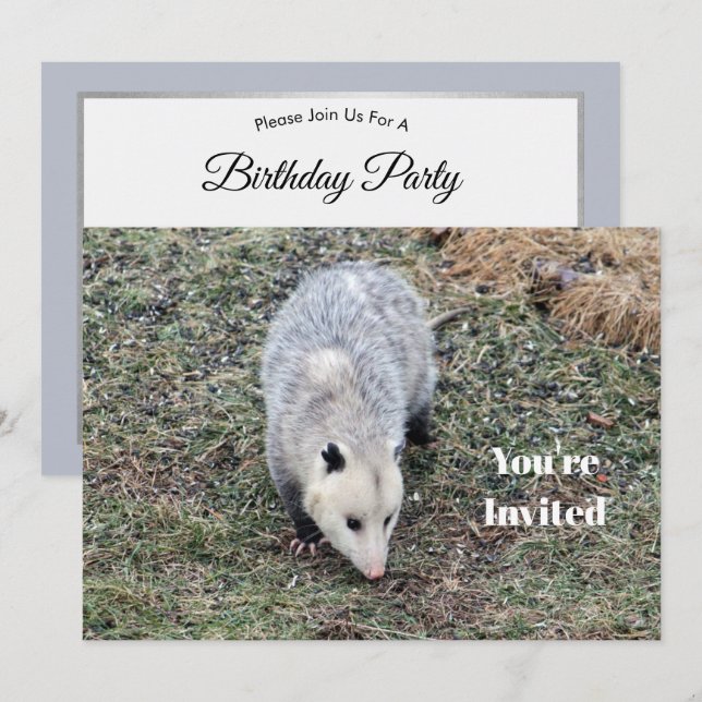 Opossum Photo Birthday Inbjudningar (Fram/baksida)