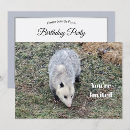 Opossum Photo Birthday Inbjudningar