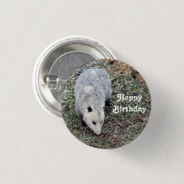 Opossum Photo Birthday Knapp