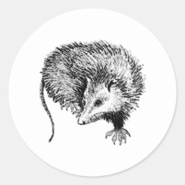 Opossum Runt Klistermärke