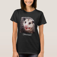 Opossum Stressat Funny Street Cat Meme Manar Women