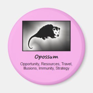 Opossum Totem Animal Spirit: Magnet