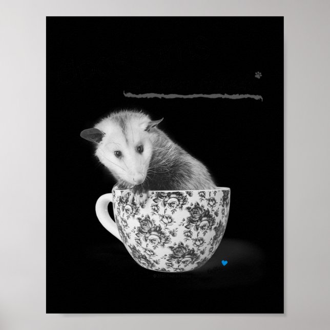 Opossummor är dina vänner poster (Framsidan)