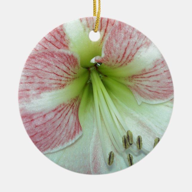 Öppen Amaryllis Äppelblom Julgransprydnad Keramik (Framsidan)