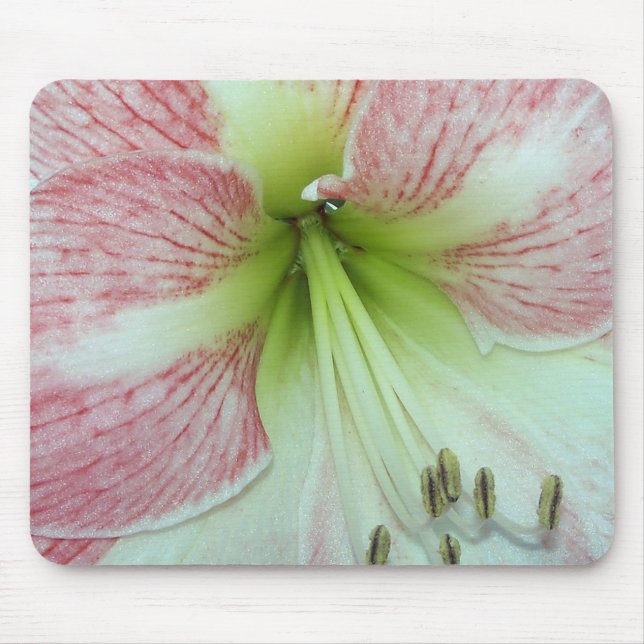 Öppen Amaryllis Äppelblom Musmatta (Framsidan)
