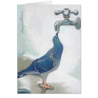 Öppenhjärtig Pidgeon OBS Kort