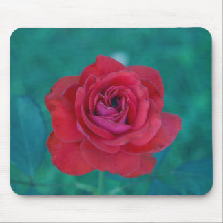 Öppenhjärtigar rosa Mousepad Musmatta