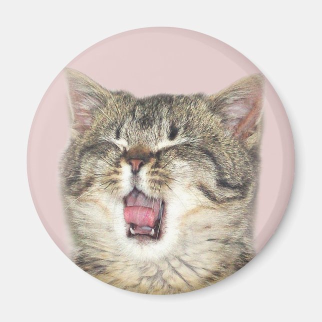 Öppet munkkitt magnet (Framsidan)