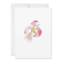 Öppna Apple Blommar