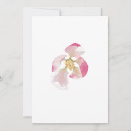 Öppna Apple Blommar Julkort