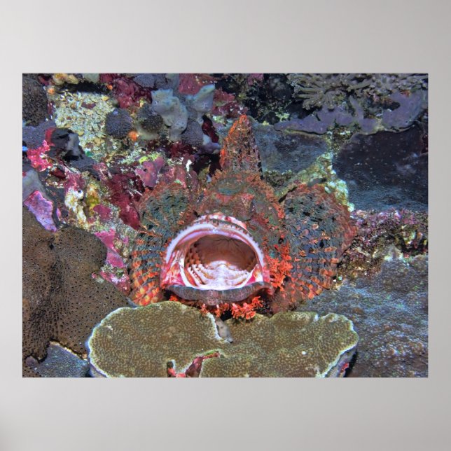 Öppna bred poster (Framsidan)