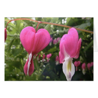 öppna din hjärta hälsningskort