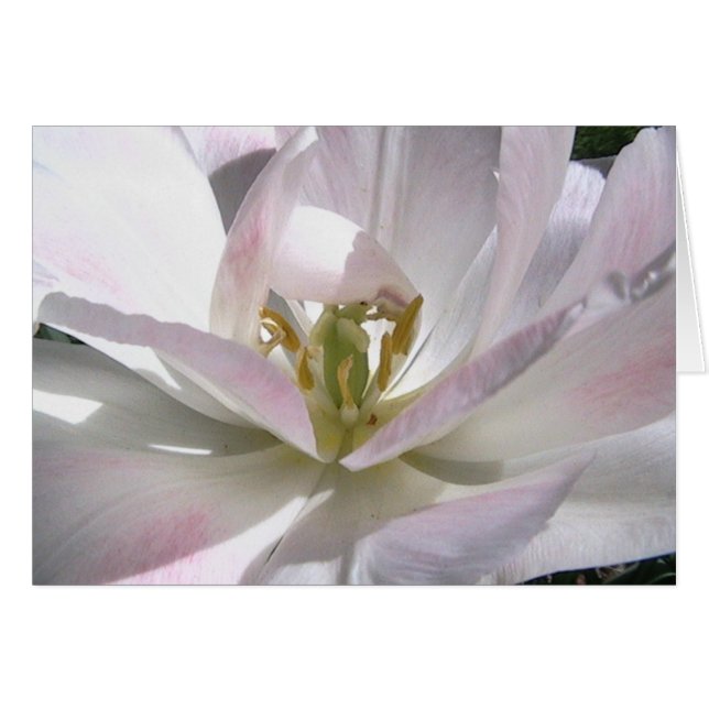 öppna ditt varar besvärad hälsningskort (Framsidan Horizontal)