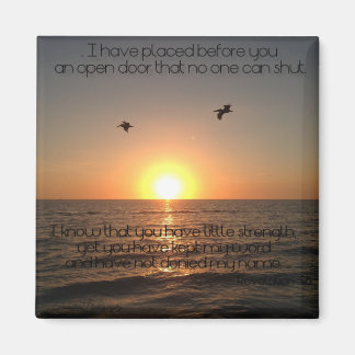 Öppna dörrmagnet magnet