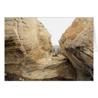 Öppna Hälsningskort