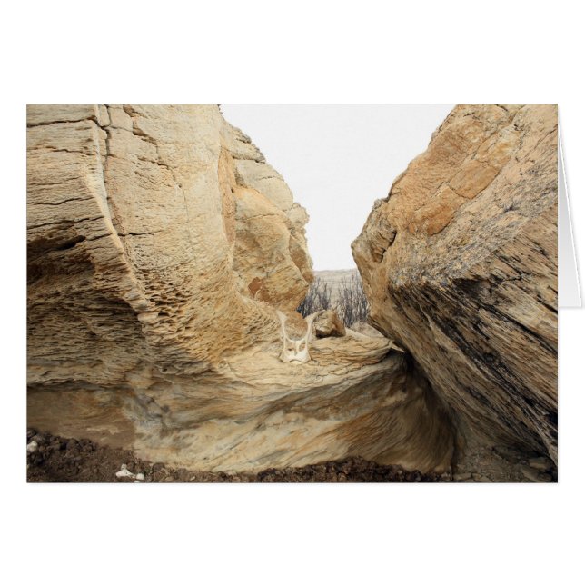 Öppna Hälsningskort (Framsidan Horizontal)