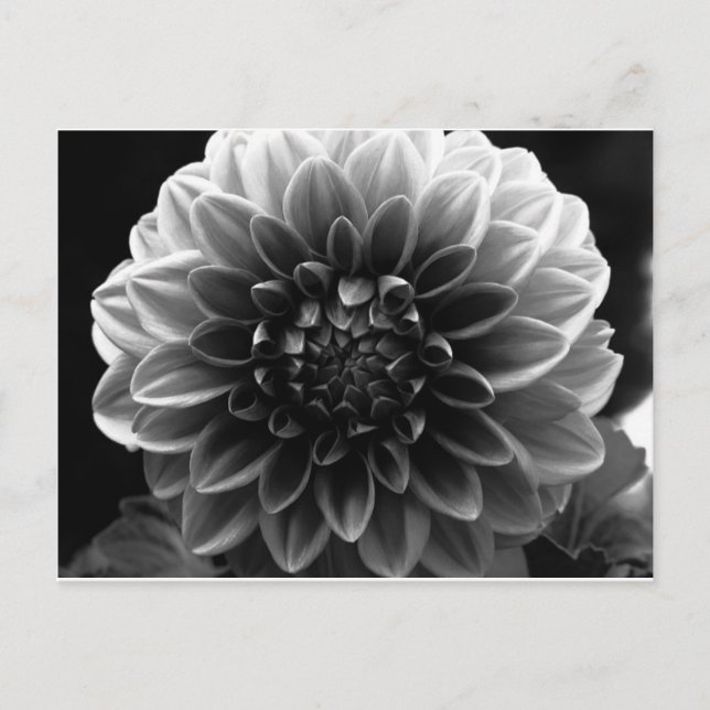 Öppna hela Lagrar Vykort (Framsida)