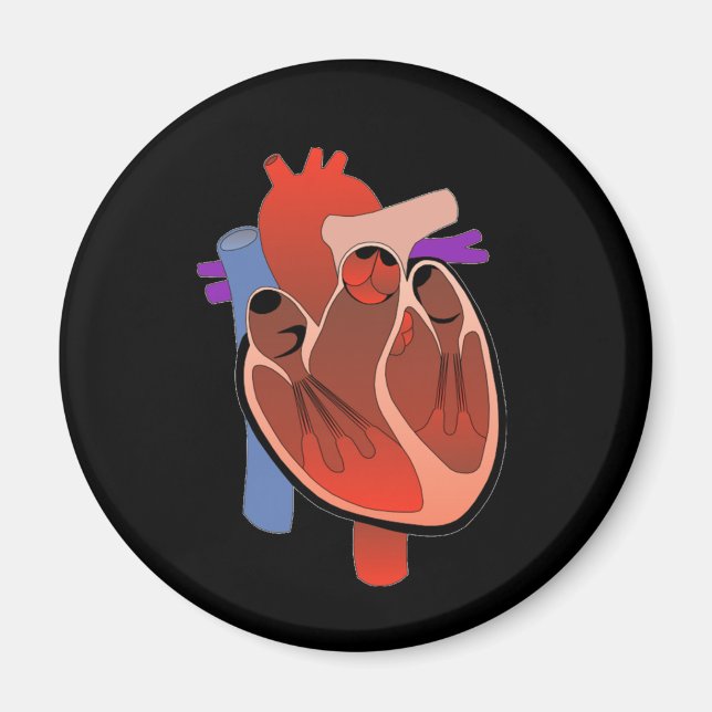 Öppna hörd magnet (Framsidan)