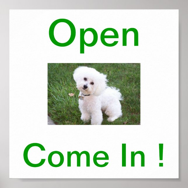 Öppna Hund för Bichon Frise-tecken Poster (Framsidan)