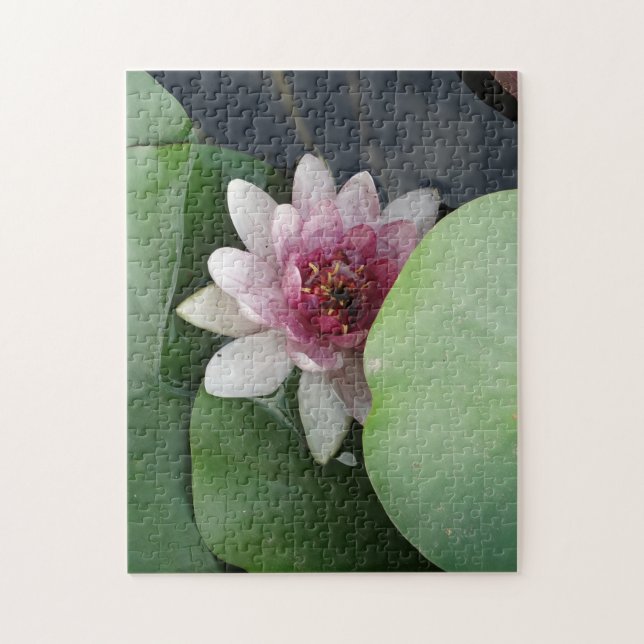 Öppna Lotus Flower Photo Pussel (Vertikal)
