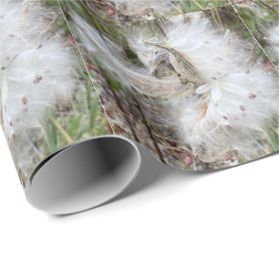 Öppna Milkweed-Poder Utsäde med Silke Presentpapper