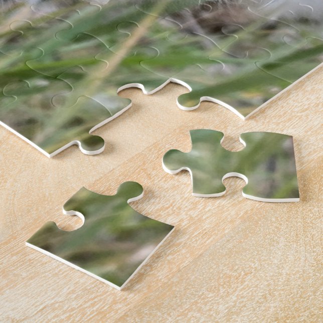 Öppna Milkweed-Poder | Utsäde med Silke | Pussel (Sidan)