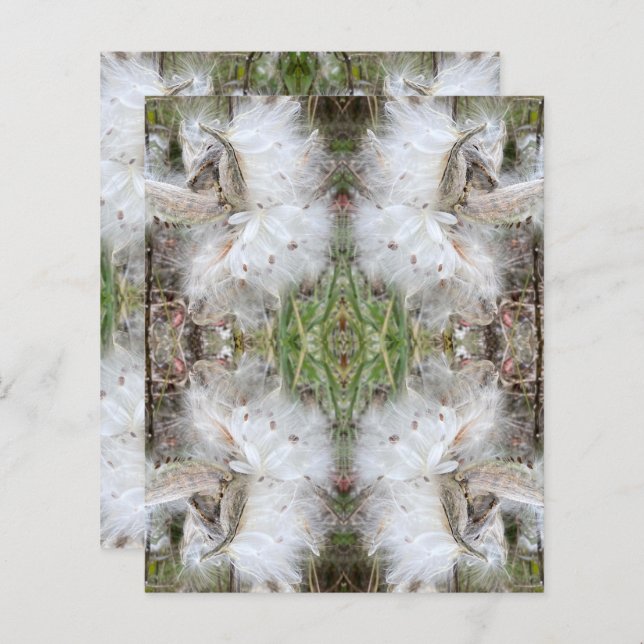 Öppna Milkweed-Poder | Utsäde med Silke | Skrapbok (Fram/baksida)