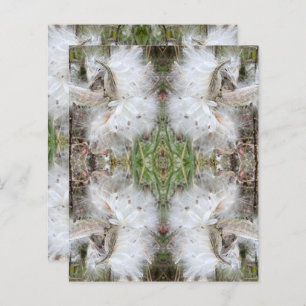 Öppna Milkweed-Poder   Utsäde med Silke   Skrapbok