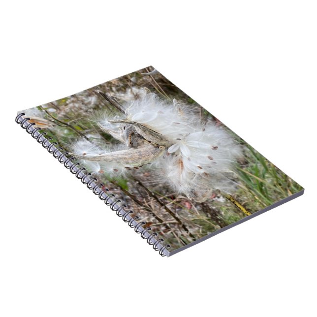 Öppna Milkweed-Poder | Utsäde med Silke | SPIRAL Anteckningsbok (Högra Sidan)