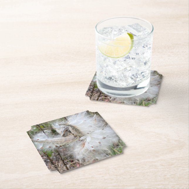 Öppna Milkweed-Poder | Utsäde med Silke | Underlägg Papper (Insitu)