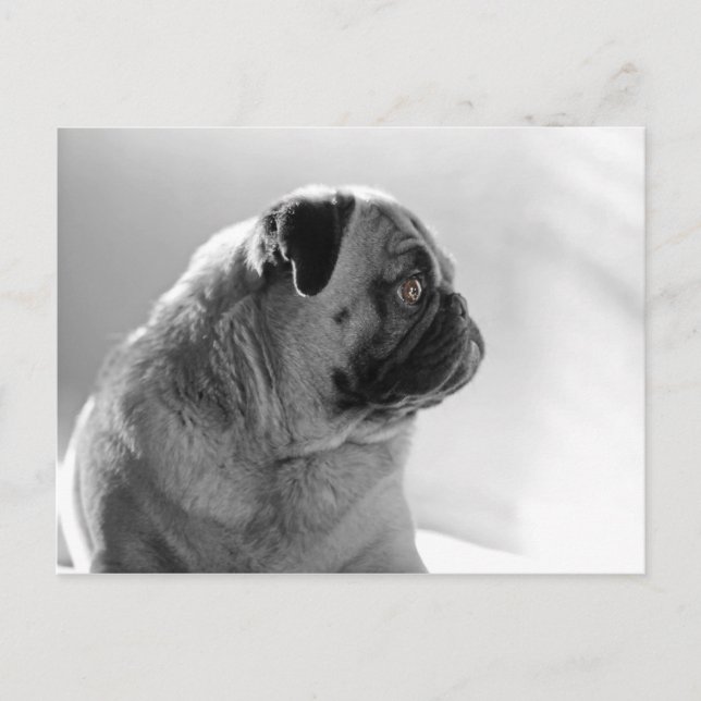 Öppna profil vykort (Framsida)