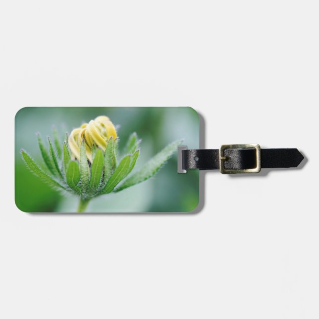 Öppnande blomma av kägelblomster bagagebricka (Horisontell Framsida)
