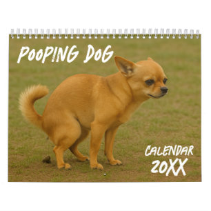 Öppnande hund 2026 kalender