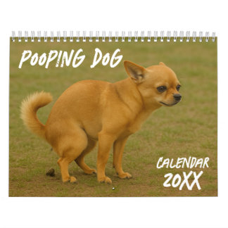 Öppnande hund 2026 kalender